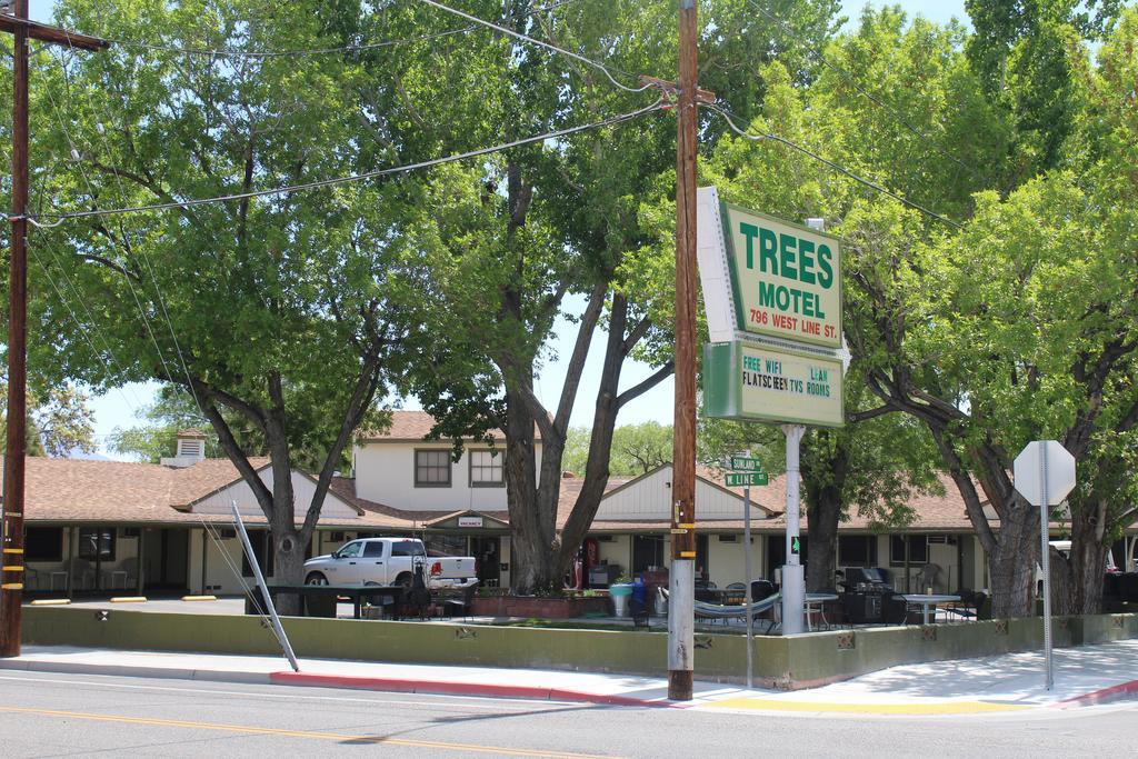 Trees Motel Bishop Bagian luar foto