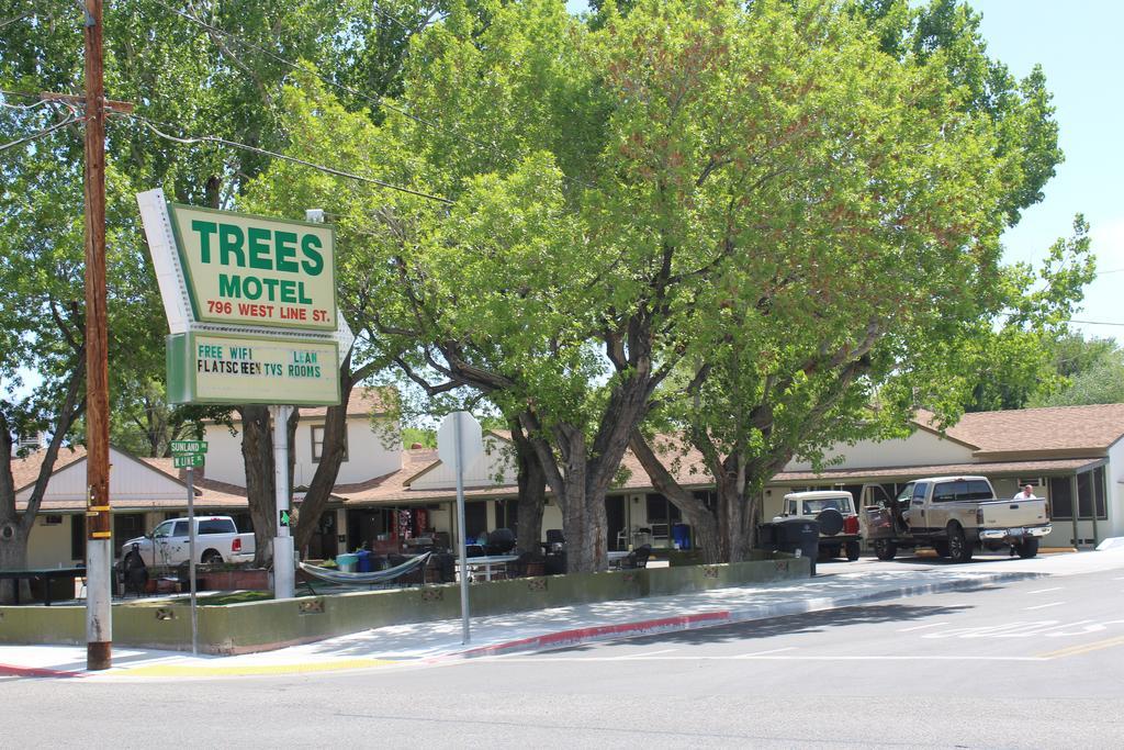 Trees Motel Bishop Bagian luar foto