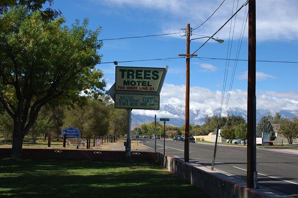 Trees Motel Bishop Bagian luar foto